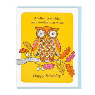 another year older and another year wiser birthday card